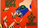 SOFT BOYS   A Can Of Bees   1984 VINYL LP   UK Reissue   CLAW 1001   R Hitchcock