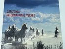 CATATONIA - INTERNATIONAL VELVET (1998) US FIRST PRESS VAPOR RECORDS WITH INSERT