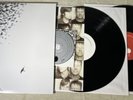 Wilco Sky Blue Sky 2 LP Vinyl Record 2007 Nonesuch W/ CD
