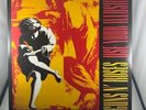 Guns N Roses: Use Your Illusion 1 Vinyl- Reissue                     Like New