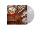 The Backseat Lovers Waiting to Spill (Vinyl) (UK IMPORT)
