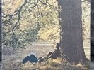 John Lennon / Plastic Ono Band | Japan Pressung LP Vinyl Schallplatte OIS Rock