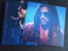 LENNY KRAVITZ BLUE ELECTRIC LIGHT LTD EDITION DBL LP & SIGNED/AUTOGRAPH PRINT