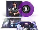 Elfman Addams - WEDNESDAY Paint it Black / Main Theme 7