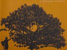 In Between Dreams by Jack Johnson (Record, 2005)