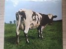Pink Floyd - Atom Heart Mother - Original UK release date : October 1970