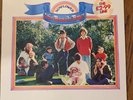 The Beach Boys - Sunflower 1980 UK Pressing Non-Gatefold EX/EX