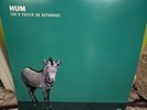 Hum You'd Prefer An Astronaut 45 Rpm Double Vinyl Gatefold LP