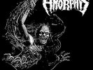 Amorphis Privilege Of Evil (Vinyl)