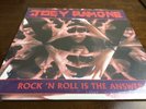 Joey Ramone Rsd Rock n Roll Is The Answer 7