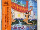 NEW GRASS REVIVAL WHEN THE STORM IS OVER FLYING FISH PA6086 JAPAN VINYL LP