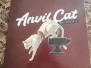 Black Friday Lovejoy * Anvil Cat From Studio 4 IE Ltd. Vinyl Record RSD - White