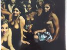 THE JIMI HENDRIX EXPERIENCE - ELECTRIC LADYLAND (1973 UK repress Polydor label)