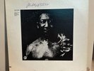 Muddy Waters - After The Rain ('71 Pressing 12
