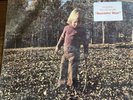Brothers and Sisters by Allman Brothers (Record, 1973) - With Hype Sticker
