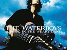 The Waterboys A Rock in the Weary Land (Vinyl)