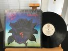 THIN LIZZY BLACK ROSE(A ROCK LEGEND) WARNER BROS. BSK3338 USA 1979 NM/VG+