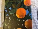 lana del rey poetry book violet bent backwards over the grass