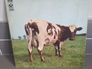 PINK FLOYD - ATOM HEART MOTHER ITALY PRESS VINYL LP HARVEST 3C064-04550