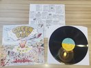Green Day - Dookie Vinyl Album 12