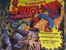 THE ADVENTURES OF THE AMAZING SPIDER-MAN AND FRIENDS 1974 POWER LP 8146 NICE