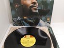 What's Going On Marvin Gaye Double LP Vinyl