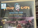 STRAY CATS ROCKED THIS TOWN:FROM LA TO LONDON