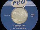 M.G. & THE ESCORTS A Someday Fool / It's Too Late LTD RE 45 rpm 60s GARAGE PUNK