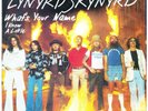 LYNYRD SKYNYRD German P/S What's Your Name / I Know A Little 45 RPM