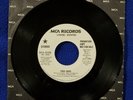 Lynyrd Skynyrd  * FREE BIRD * 45 rpm RARE White Label PROMO  MONO/STEREO Version