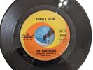 THE SURVIVORS PAMELA JEAN / AFTER THE GAME 1964 Vinyl  45 7” Brian Wilson