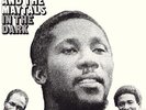 Toots And The Maytals - In The Dark (Reissue) (NEW VINYL LP)