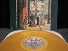 Styx - The Grand Illusion - A&M SP-4637 - Special Gold Vinyl  Full Size Poster
