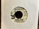 Chicago garage rock 45 The Shadows of Knight BAD LITTLE WOMAN GOSPEL ZONE PROMO
