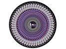 Olivia Rodrigo Guts (Spilled) Zoetrope Picture Disc Vinyl Record - Presale Ltd