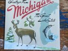 Sufjan Stevens- Michigan (University of Michigan/Michigan State AKR) Vinyl