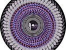 Olivia Rodrigo Guts (Spilled) Zoetrope Picture Disc Vinyl Record