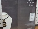 Arizona - Gallery - Clear/White Vinyl LP Record - Sealed w/ minor jacket damage