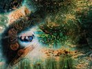 Pink Floyd - A Saucerful Of Secrets (Mono) Vinyl LP - Used