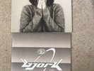 BJORK DEBUT 1st Ltd. U.K vinyl 1993 One Little Indian TPLP31 Only 5000 Ex+ Cond.