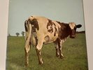 Pink Floyd Atom Heart Mother LP blue vinyl France press 1989 DC108 RARE original