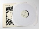 Gastr del Sol The Serpentine Similar LP Vinile Raro