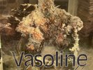Stone Temple Pilots- Vasoline Vinyl LP