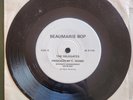 THE DELEGATES - NEVER LET IT GET YA DOWN , BEAUMARIS BOP nm private press PUNK
