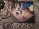 Pete Shelley - Homosapien - 12