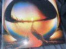Cage The Elephant- Neon Pill  Signed (Black Vinyl) Autographed Inner Sleeve