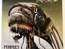 RAGE - Perfect Man LP 1988 Noise International – FW 44265 1st Edition VG+/VG+
