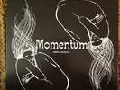 Misha Panfilov - Momentum (LP, Album, RP) Vinyl Record