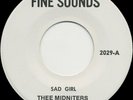 CHICANO SOUL 45s* EAST SIDE SOUL* THEE MIDNITERS * PEACHES AND HERB* LOWRIDERS