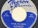 THE MARVELLOS You're the Dream Theron Chicago Doo Wop RARE ORIGINAL 45 HEAR